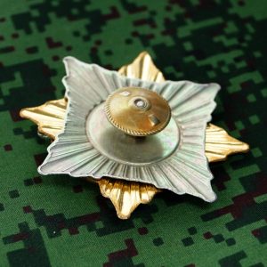 Russian military Uniform Award Chest Badge MARINES Skull