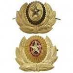 Russian Army Military Hat Uniform Badge Standard or Dimmed (olive, field)