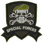 special_forces_skull_patch_embroidered.jpg